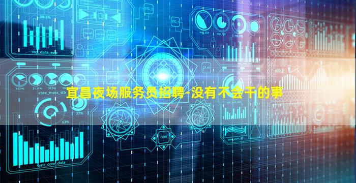 宜昌夜场服务员招聘-没有不会干的事